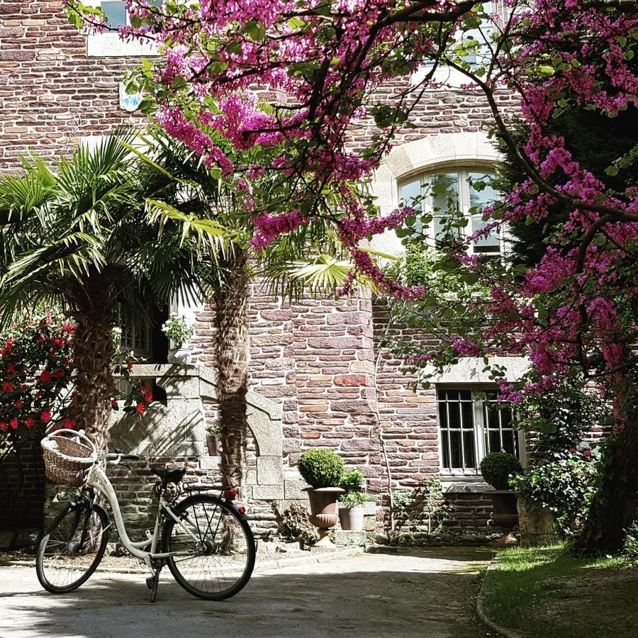Castel Jolly Bed & Breakfast *